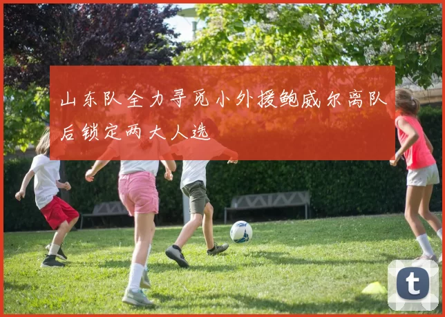 山东队全力寻觅小外援鲍威尔离队后锁定两大人选